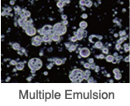Multiple Emulsion 